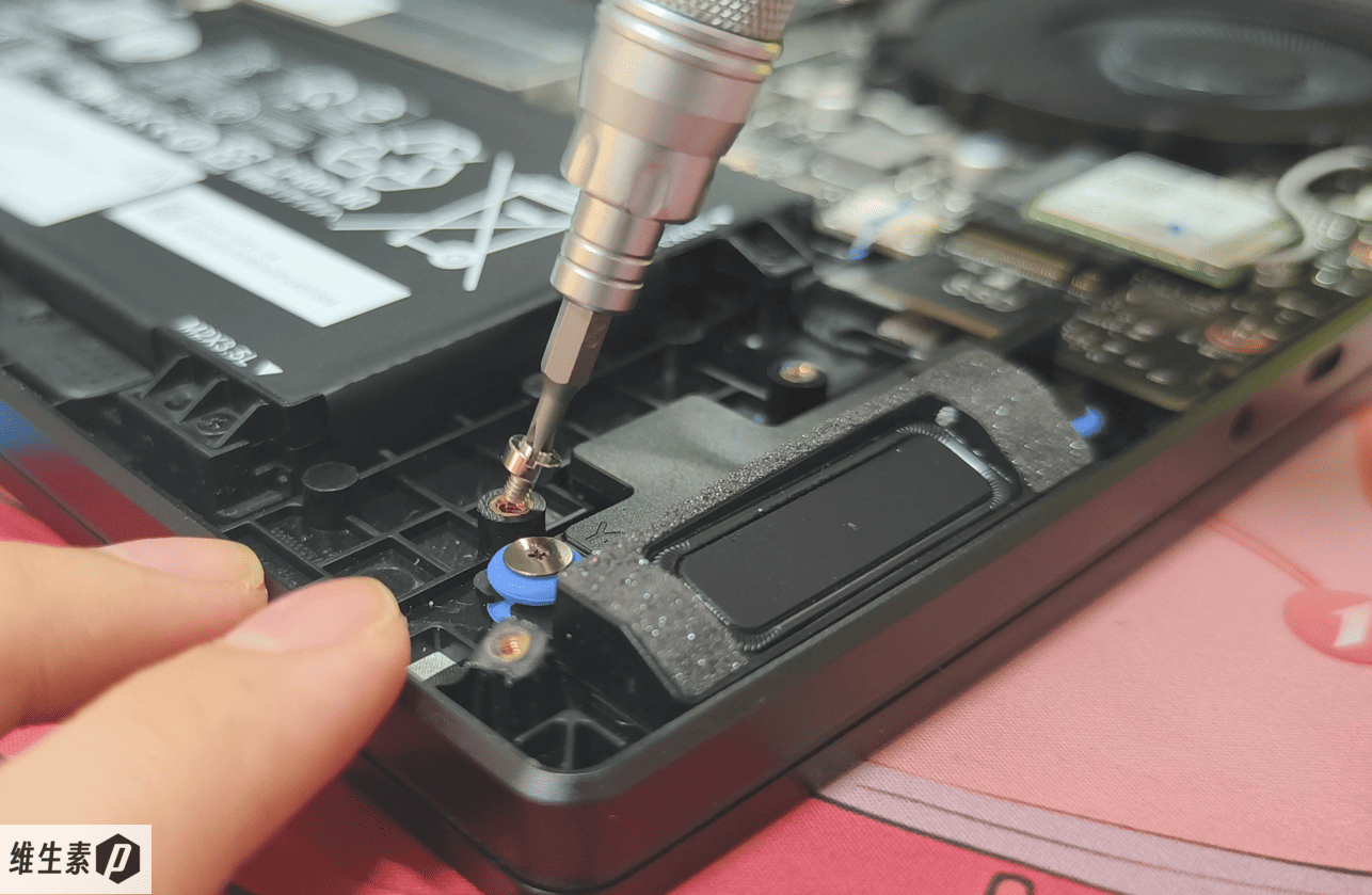 disassembly screw